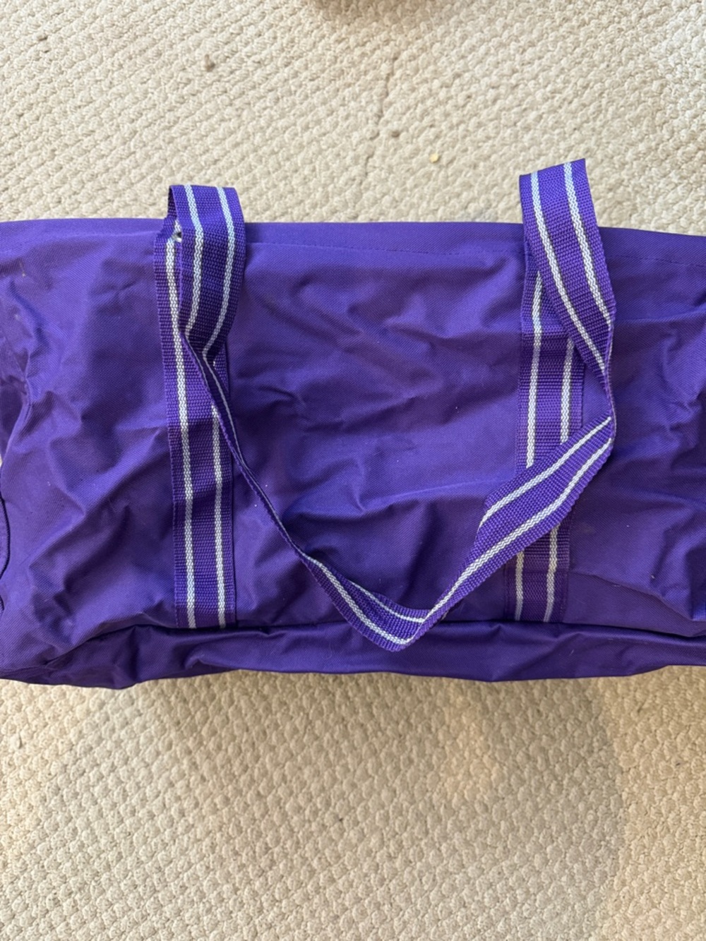 thirty-one Purple Canvas Tote with Striped Webbing Handles